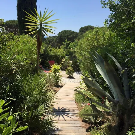 Gigaro - Terrasses Et Jardin A 5mn A Pied De La - Piscine & Parking 拉克鲁瓦瓦尔梅